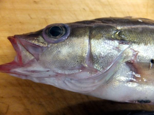 �A��