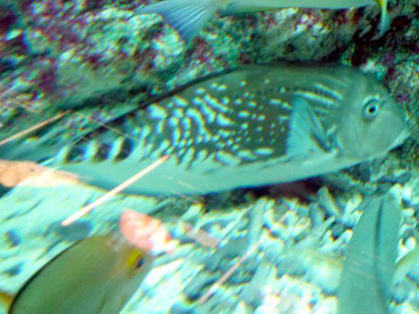 �C����
