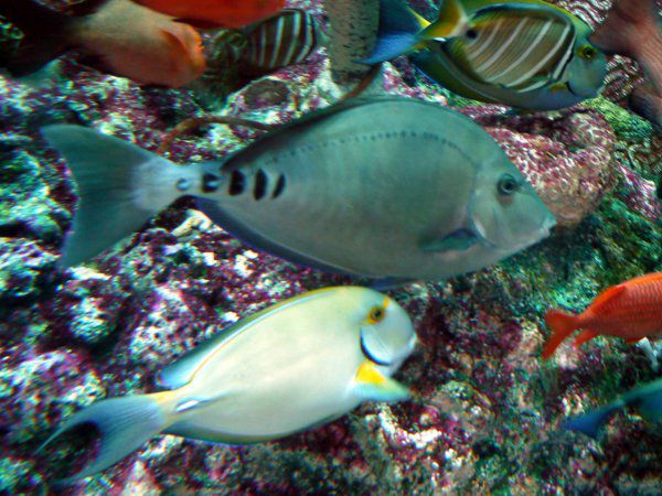 �j�U�_�C(�m����)