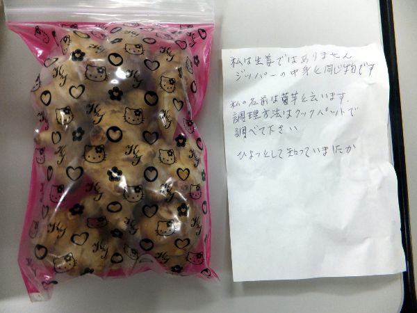 �L�N�C���i�e���j