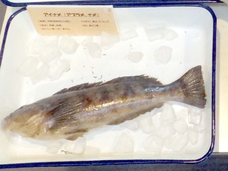 �A�C�i���X�׍H