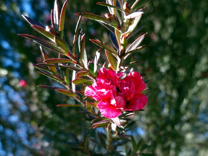 �M�������E�o�C�i����~�j