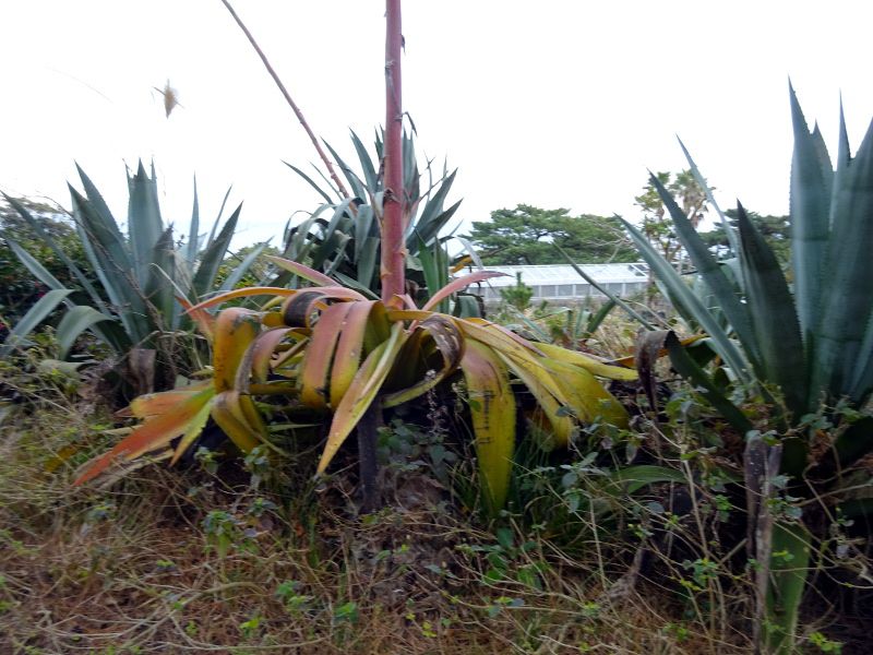 �A�I�m�����[�c����