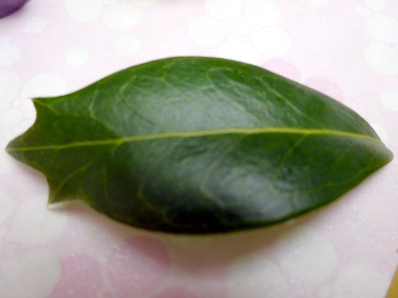 �L���M���o�c�o�L