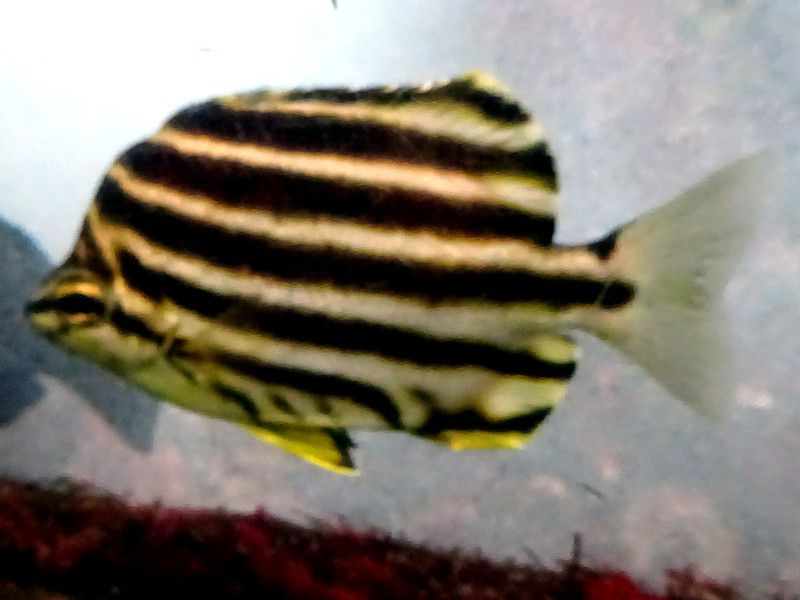 �J�S�J�L�_�C�i�����l��j