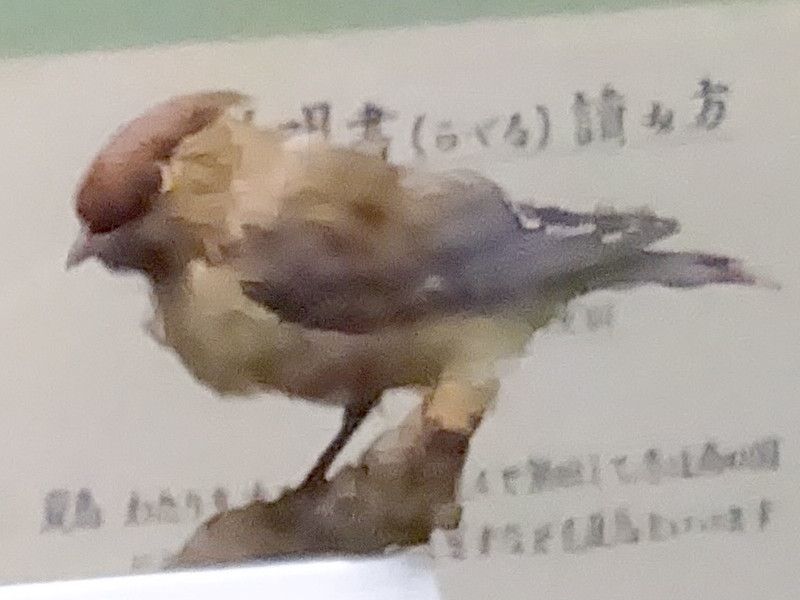 �q�����W���N