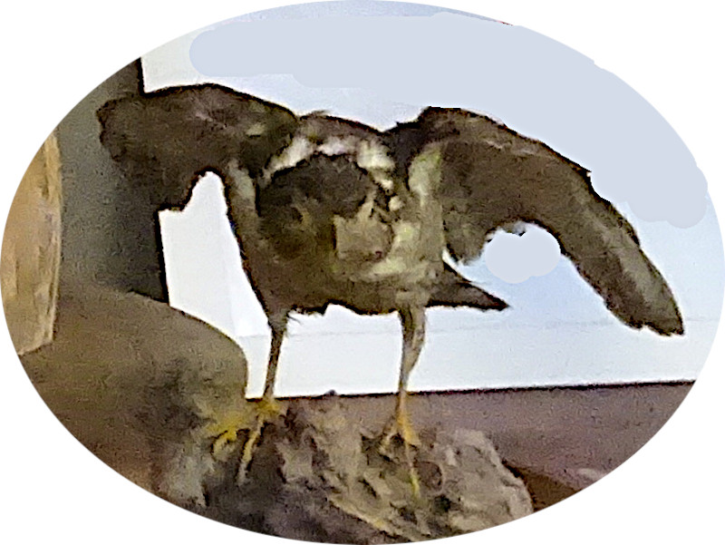 �c�~