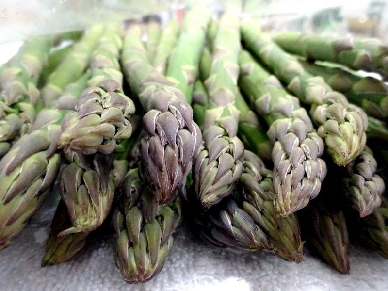 �A�X�p���K�X(Asparagus)