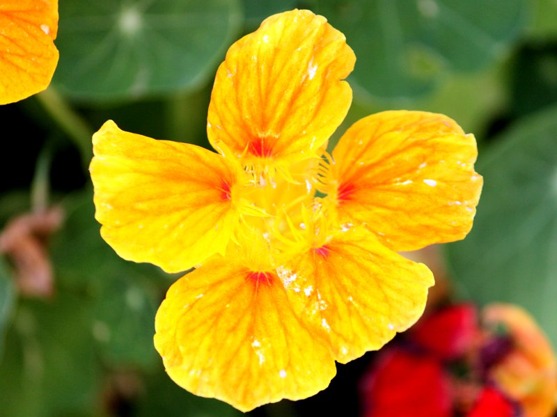 �L�������J