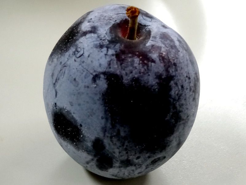 �v���[��(Prune)