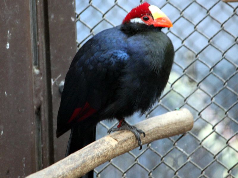 �j�V�����T�L�G�{�V�h���i�����G�X�q���j