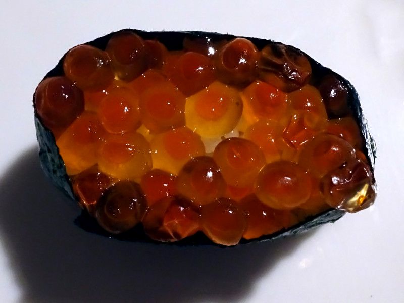 �C�N���R�͊���