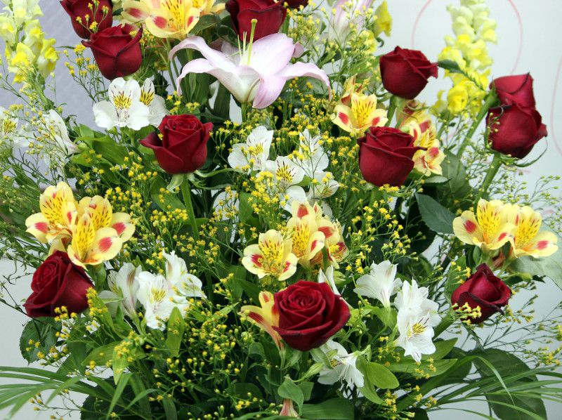 flower-mix-yellow