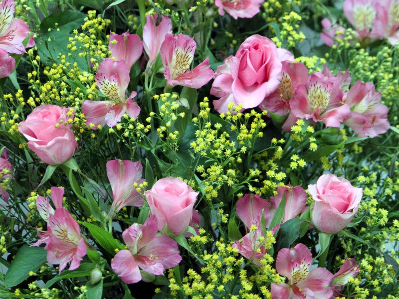 flower-mix-pink