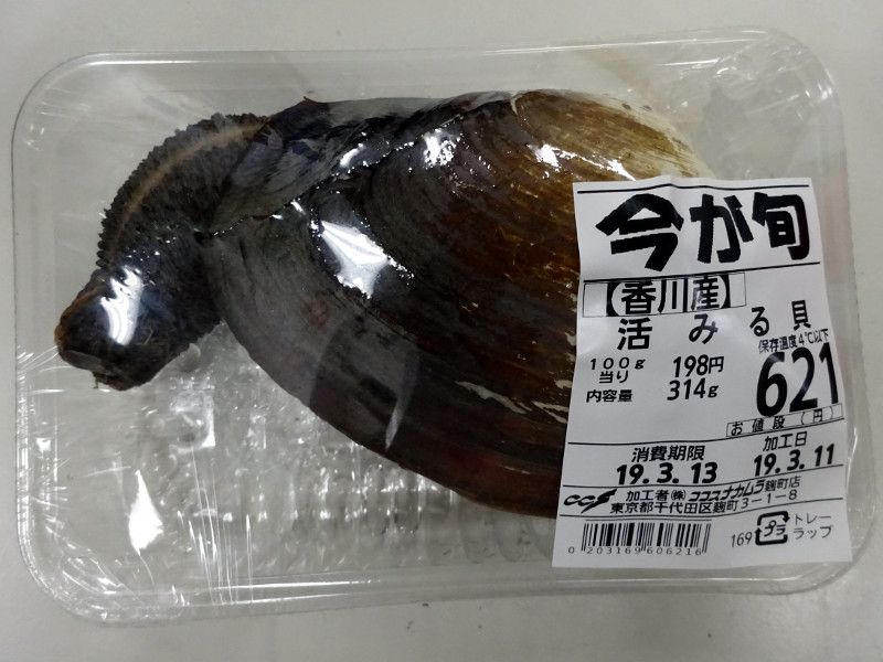 �݂邭��