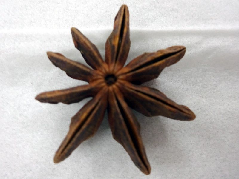 �X�^�[�A�j�X�iStar anise�����p�j