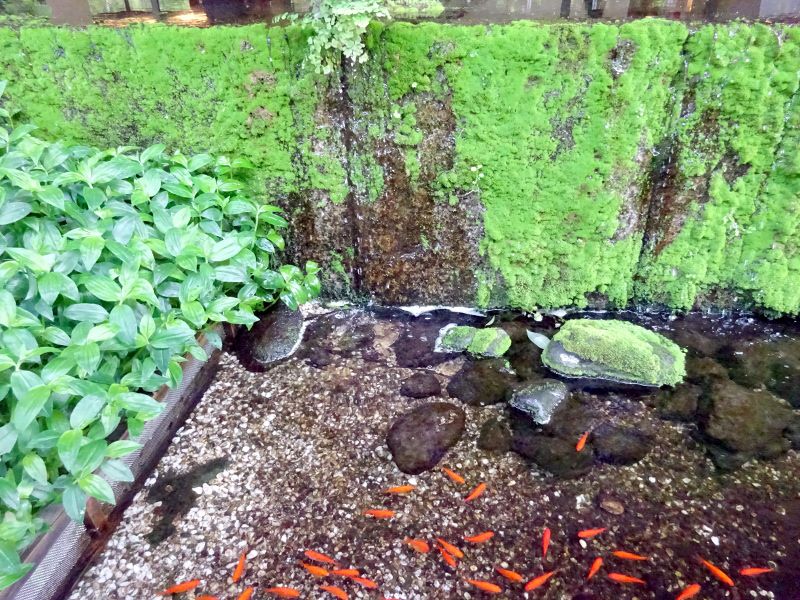 �L���M���i�����j