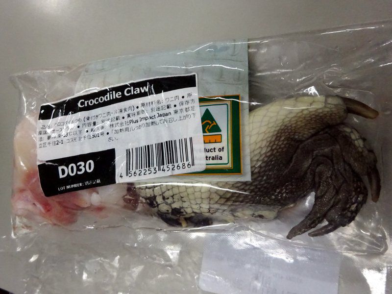 �N���R�_�C���iCrocodile�j