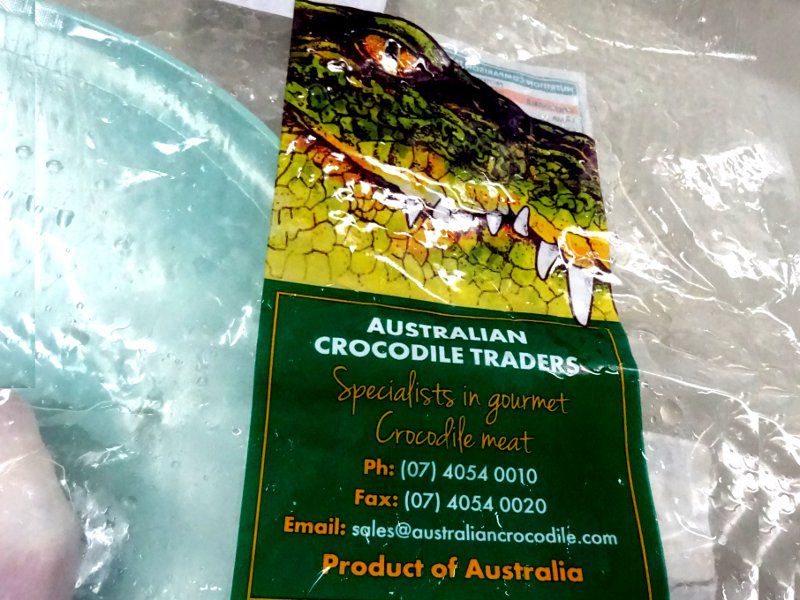 �N���R�_�C���iCrocodile�j