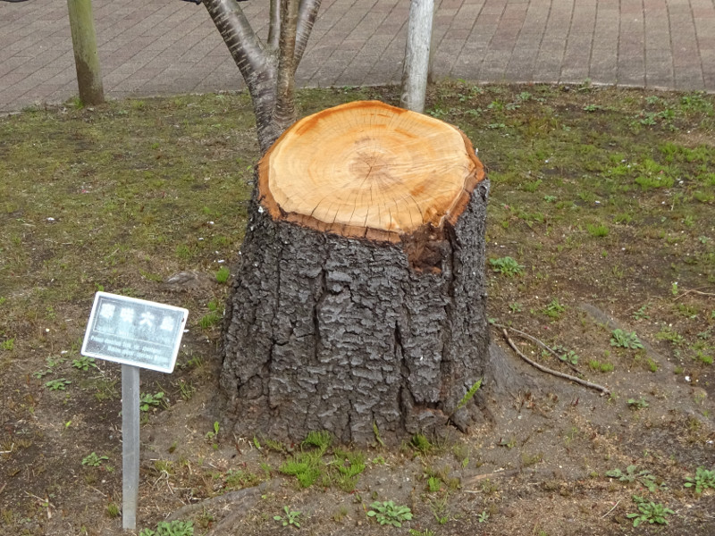 �J���U�L�I�I�V�}