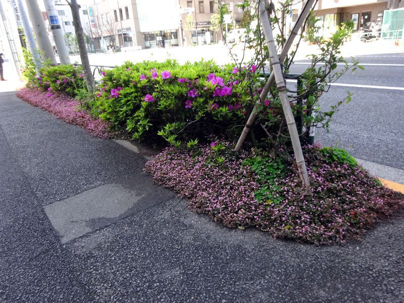 �q���c������