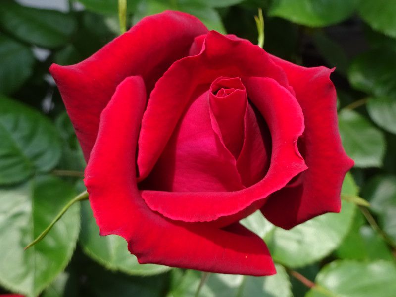 �o��
