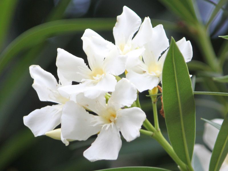 �L���E�`�N�g�E��