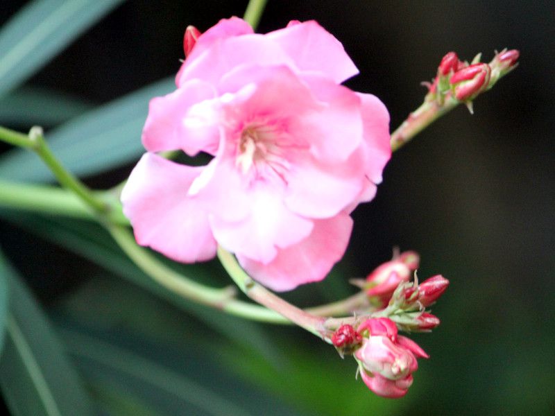 �L���E�`�N�g�E���F