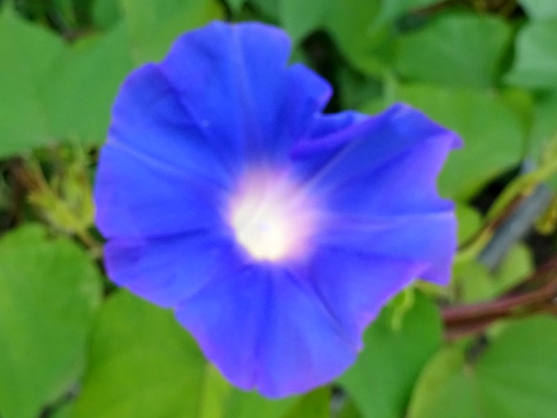 �ω�����@��t�ۍ�
