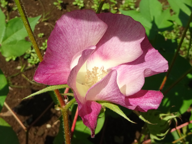 �A�I���^