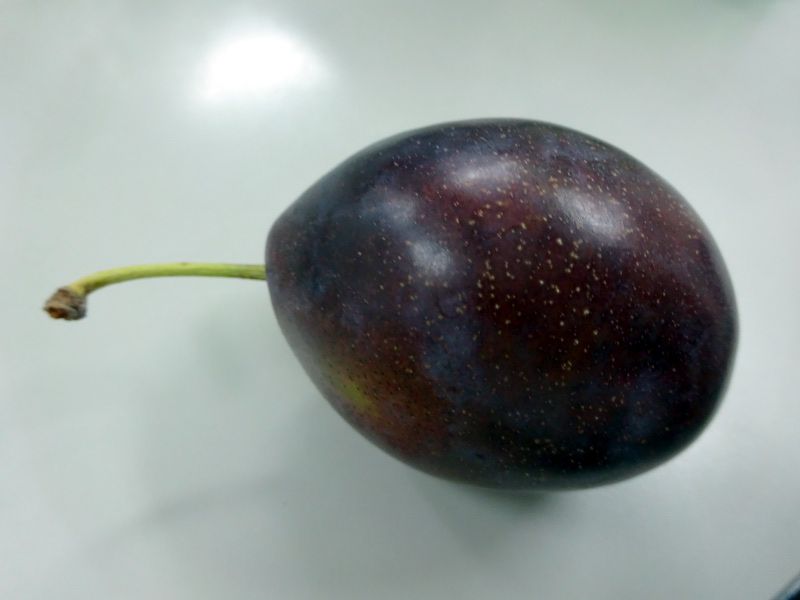 �v���[��