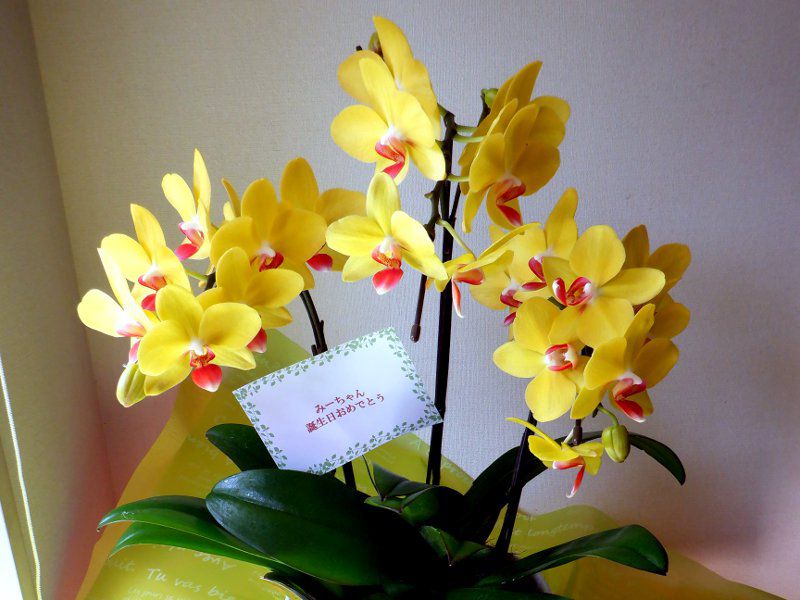 �~�j�Ӓ����i�I�~