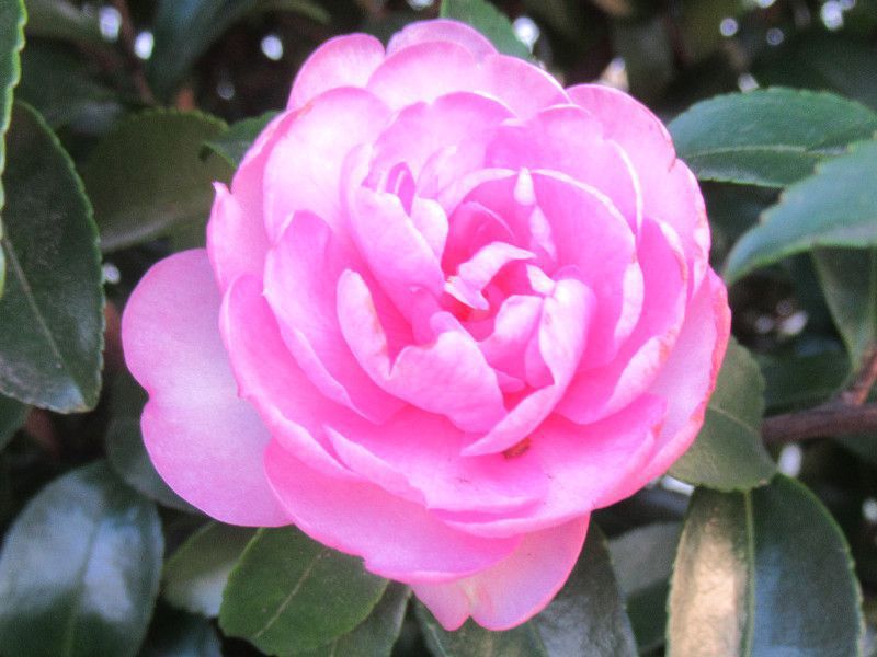 �T�U���J����