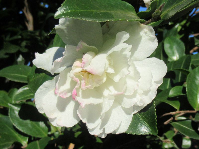 ����