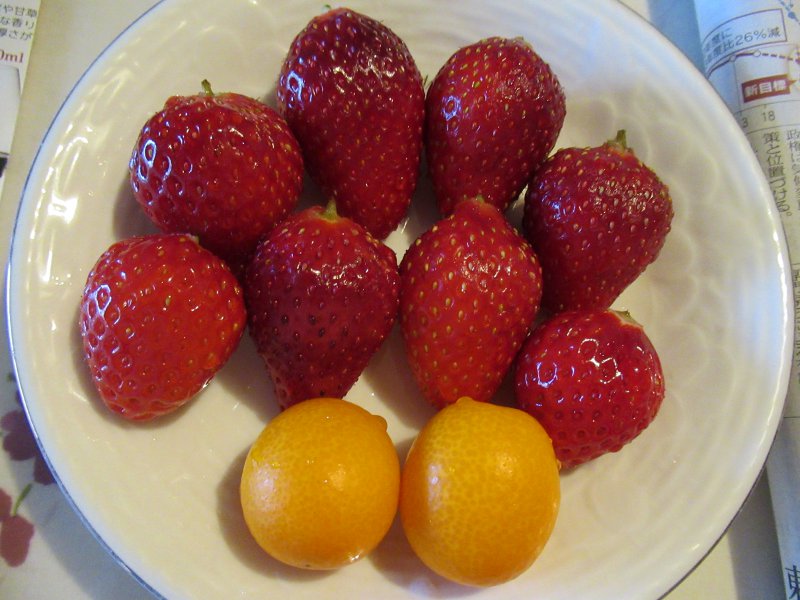 �'MIGAKI-ICHIGO'