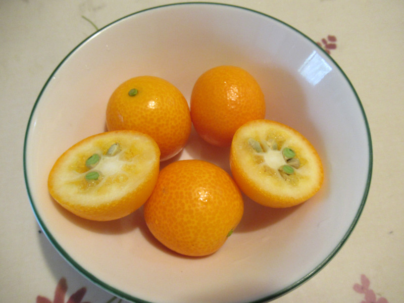 �L���J���i�����j
