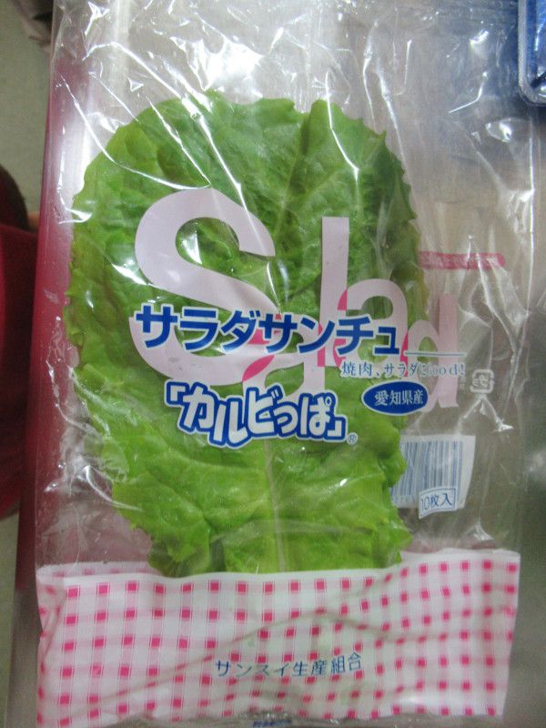 �v���[�c���^�X