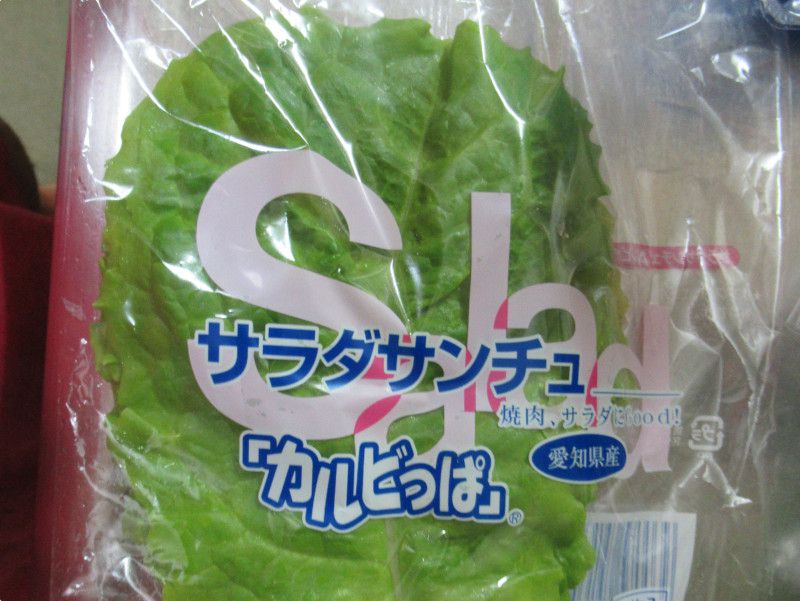 �v���[�c���^�X