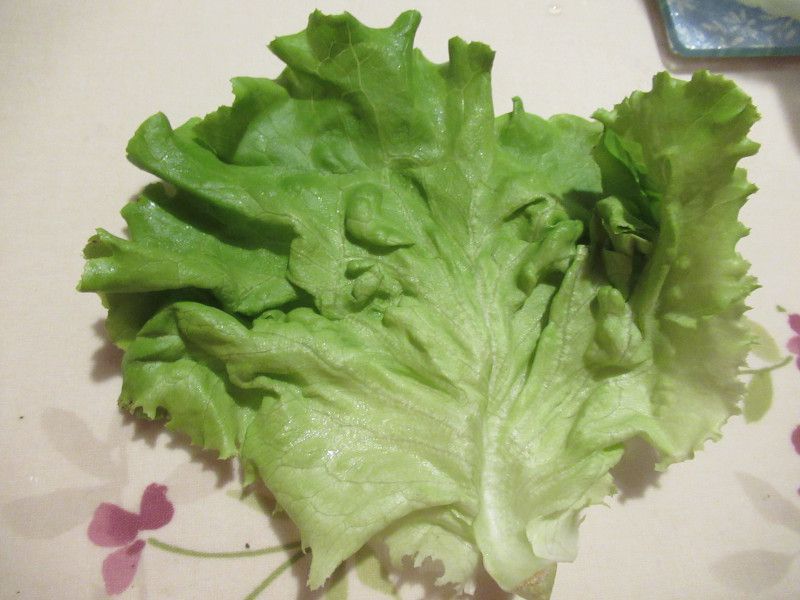 �v���[�c���^�X