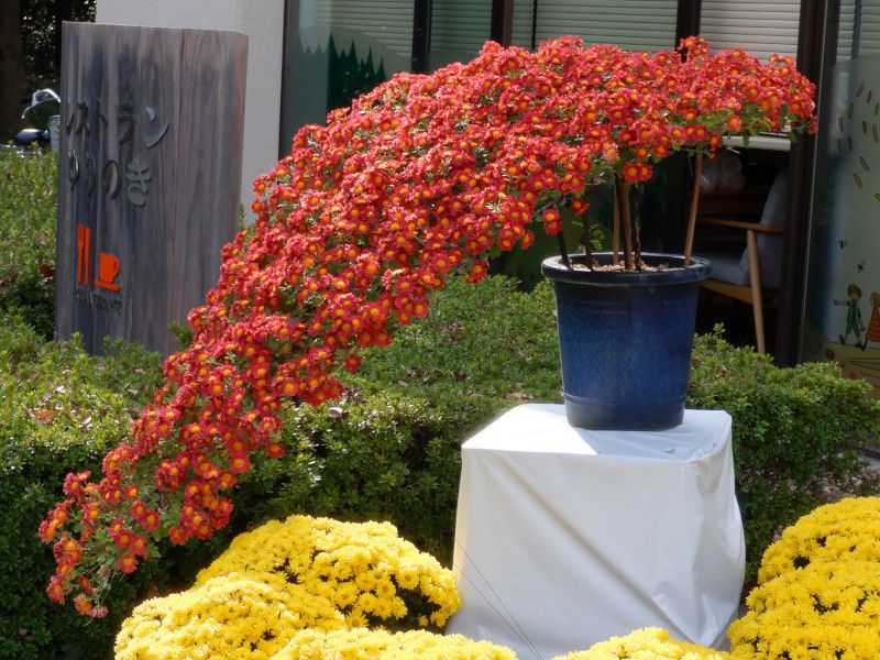 �e���R���