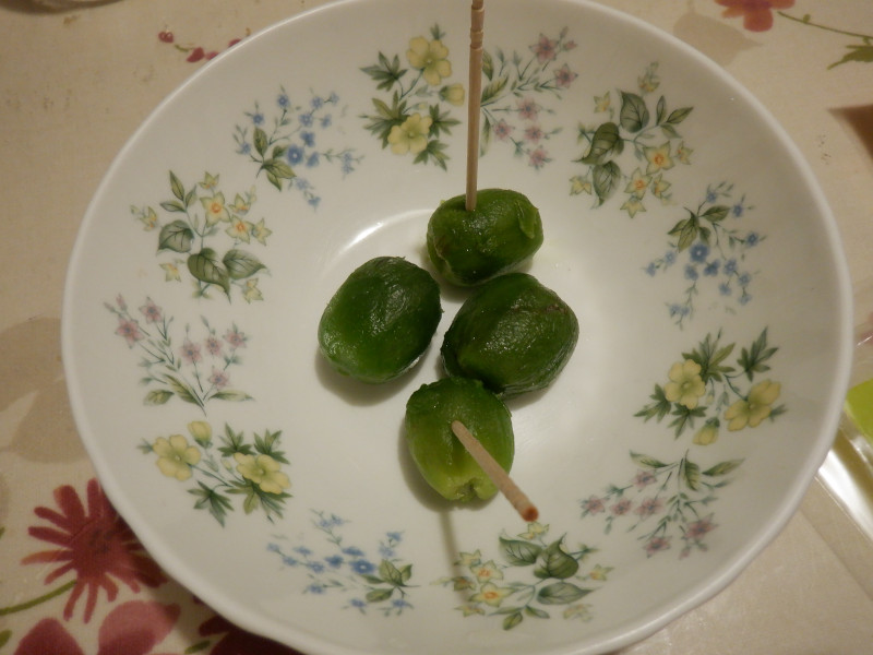 �T���i�V�i�����j