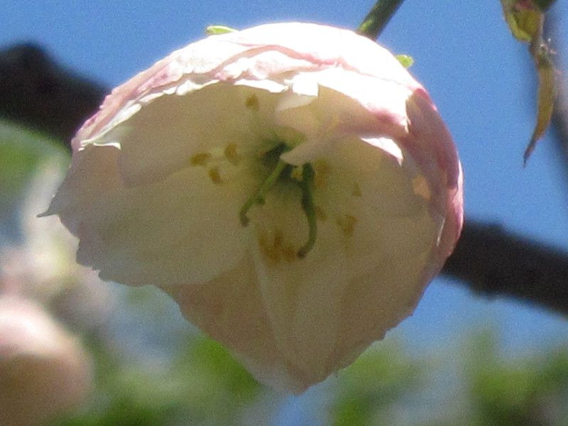 �t�Q���]�E