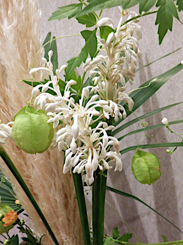 �m�V����