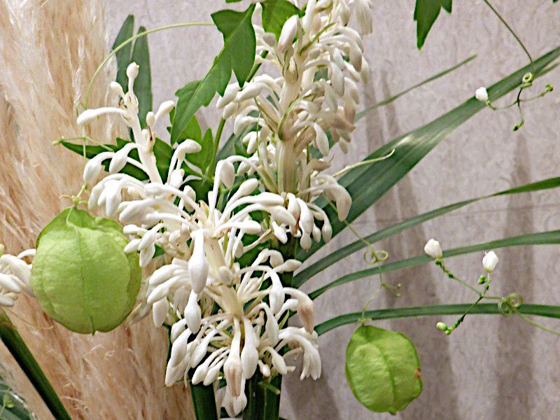	�m�V����