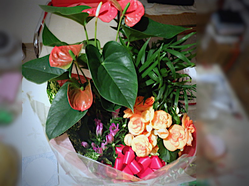 �މ@�j������