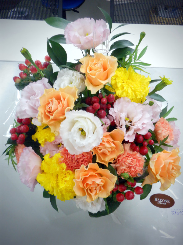 �m�����񂩂�̒a����