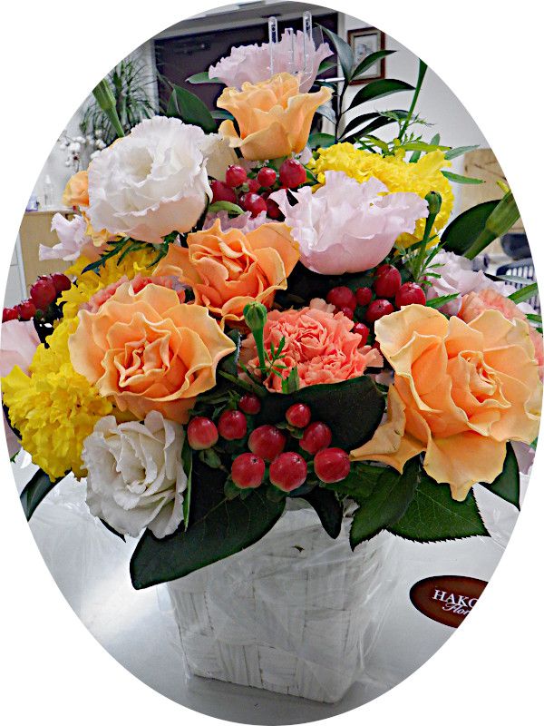 �m�����񂩂�̐���