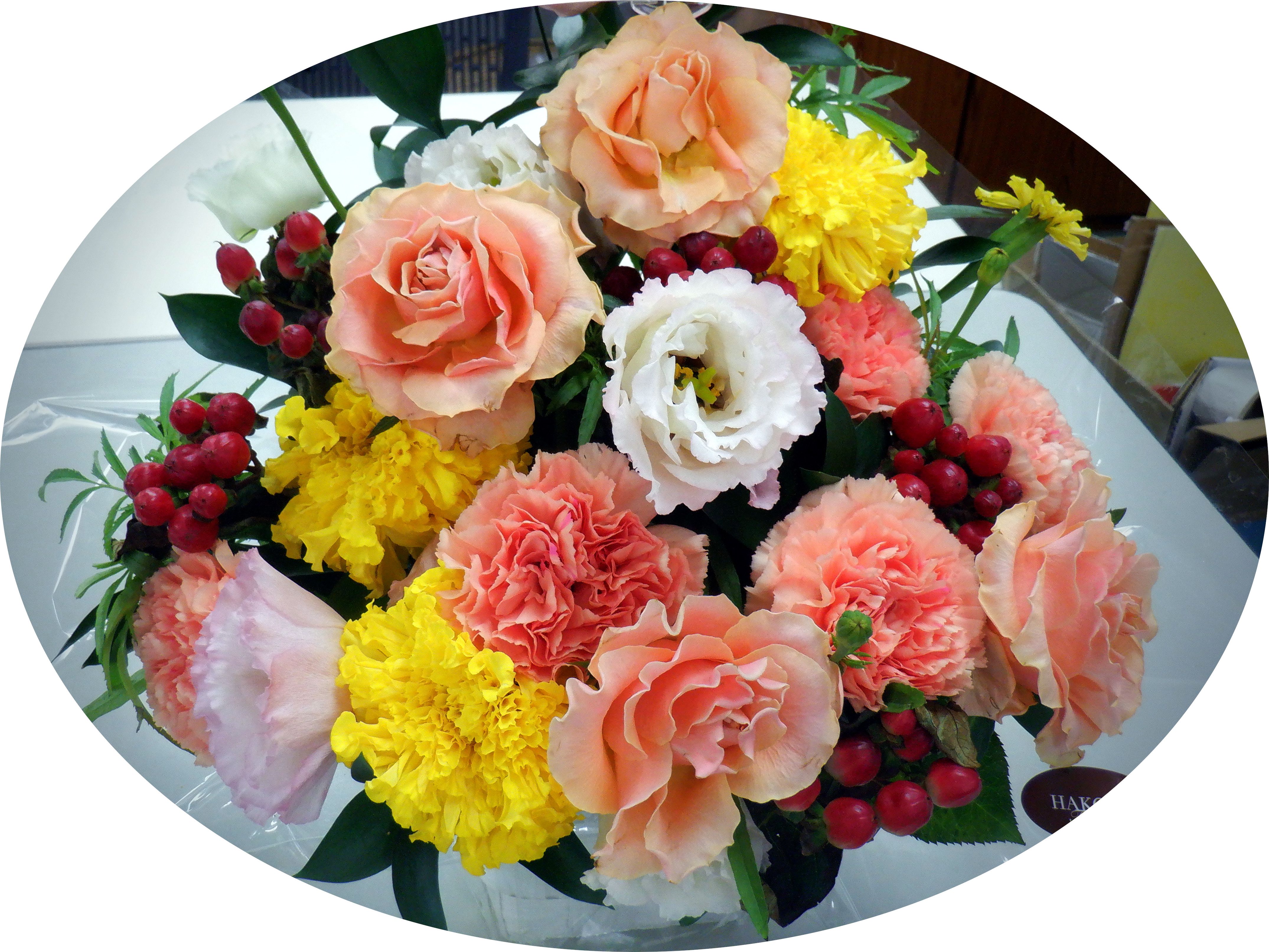 �m�����񂩂�̐���