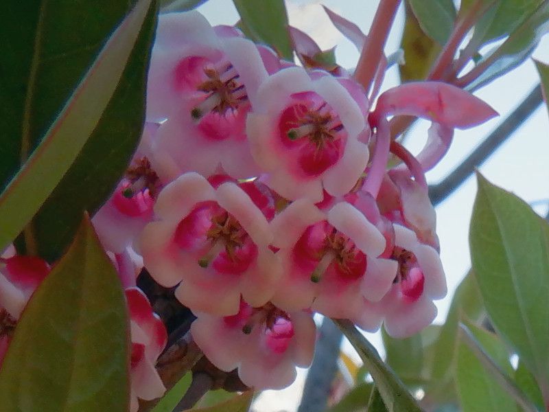 �z���R���h�E�_��