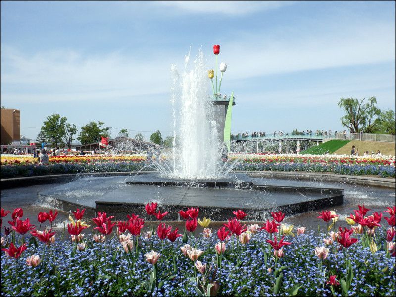 �v�g�`���[���b�v�Ղ�